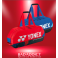 YONEX PRO TOURNAMENT BAG 
